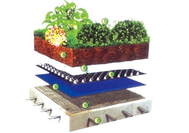 排水板工程 排水板工程