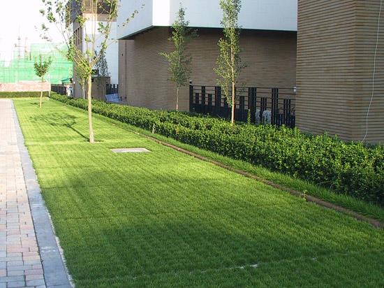 成都植草格綠化